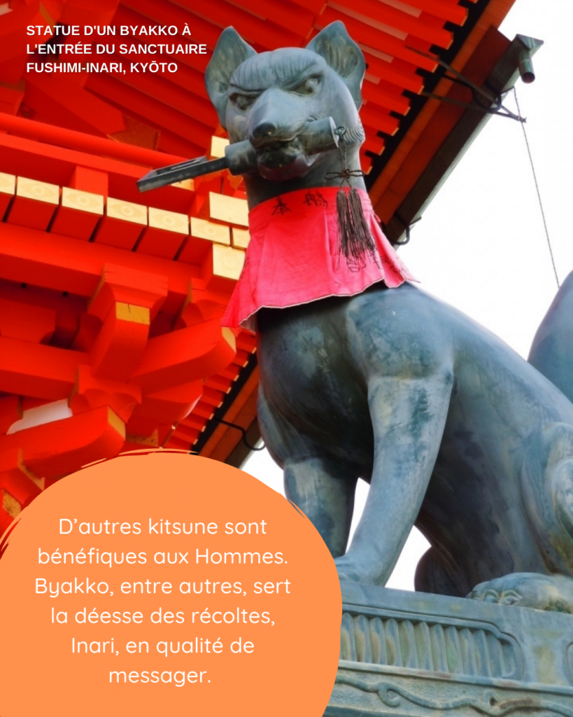 D'autres kitsune sont bénéfiques aux Hommes. Byakko, entre autres, sert la déesse des récoltes, Inari, en qualité de messager. Crédit image : photo d'une statue d'un byakko à l'entrée du sanctuaire Fushimi-Inari à Kyôto.