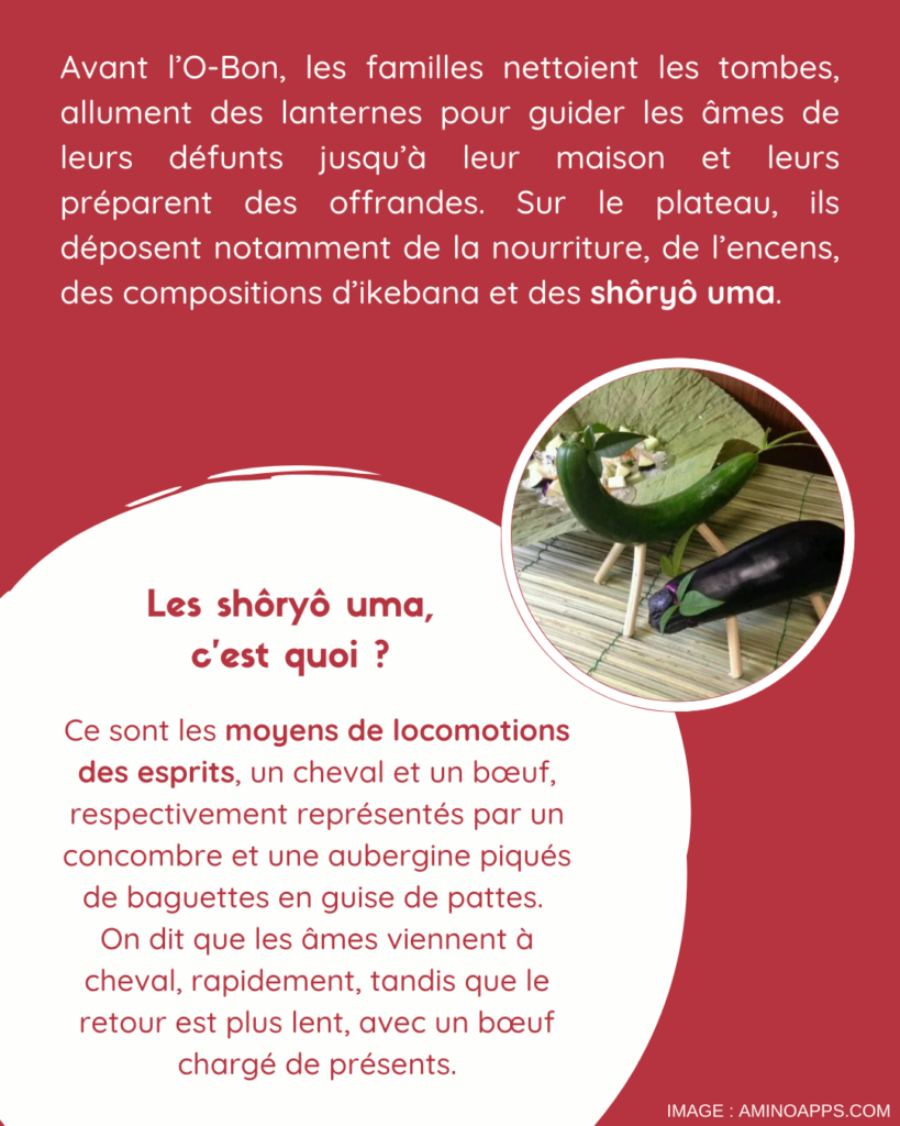 Avant l’O-Bon, les familles nettoient les tombes, allument des lanternes pour guider les âmes de leurs défunts jusqu’à leur maison et leurs préparent des offrandes. Sur le plateau, ils déposent notamment de la nourriture, de l’encens, des compositions d’ikebana et des shôryô uma. Les shôryô uma, c’est quoi ? Ce sont les moyens de locomotions des esprits, un cheval et un bœuf, respectivement représentés par un concombre et une aubergine piqués de baguettes en guise de pattes. On dit que les âmes viennent à cheval, rapidement, tandis que le retour est plus lent, avec un bœuf chargé de présents. Crédit image : aminoapps.com
